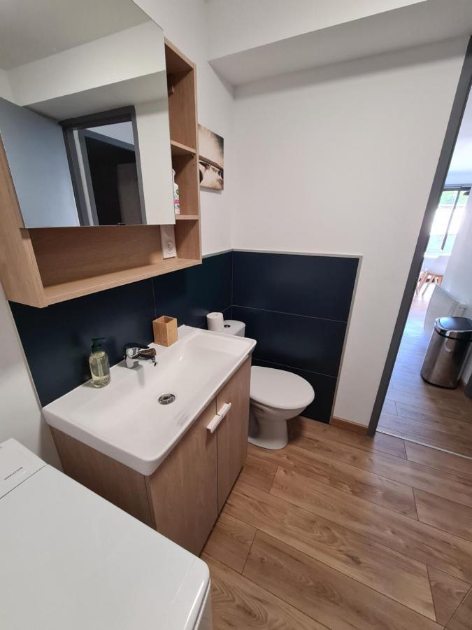 Appartement Le Cosy 3 Etoiles Саяґуз Екстер'єр фото